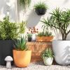 Self-Watering Plastic Indoor Outdoor Planter Pot