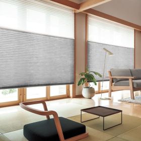 WELLSOURCE Manual Cordless Day and Night Cellular Shades Non Blackout Light Filtering Honeycomb Fabric for Home, Office, Hotel, Club, Restaurant Custo (Color: Gray, size: CUSTOM SIZE)